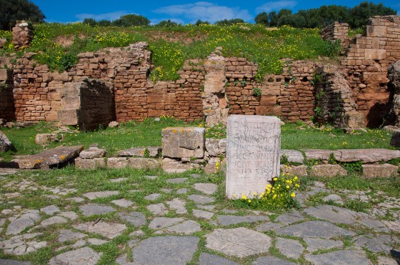 Chellah Ruins